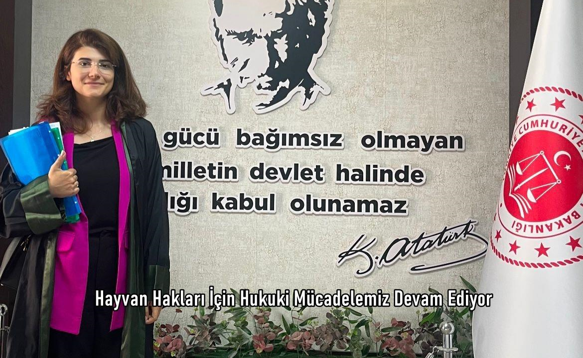 Hayvan Hakları İçin Hukuki Mücadelemiz Devam Ediyor