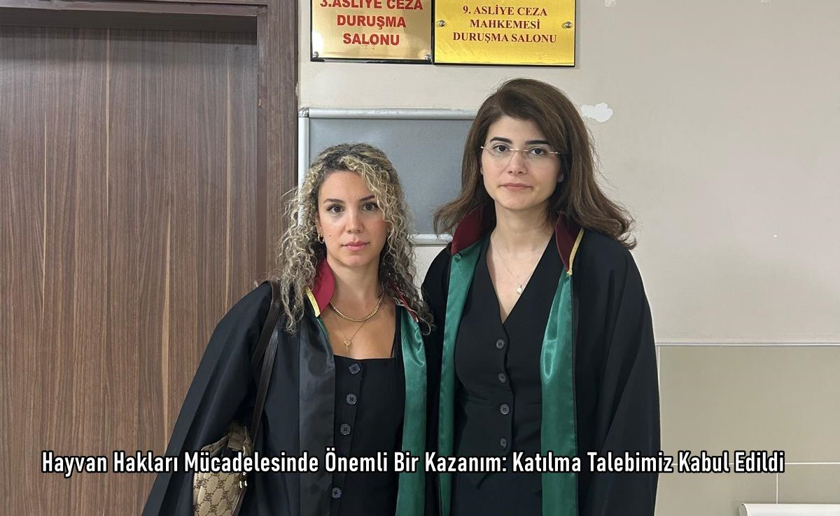 Hayvan Hakları Mücadelesinde Önemli Bir Kazanım: Katılma Talebimiz Kabul Edildi