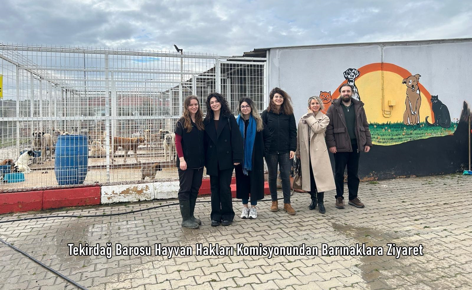 Tekirdağ Barosu Hayvan Hakları Komisyonundan Barınaklara Ziyaret